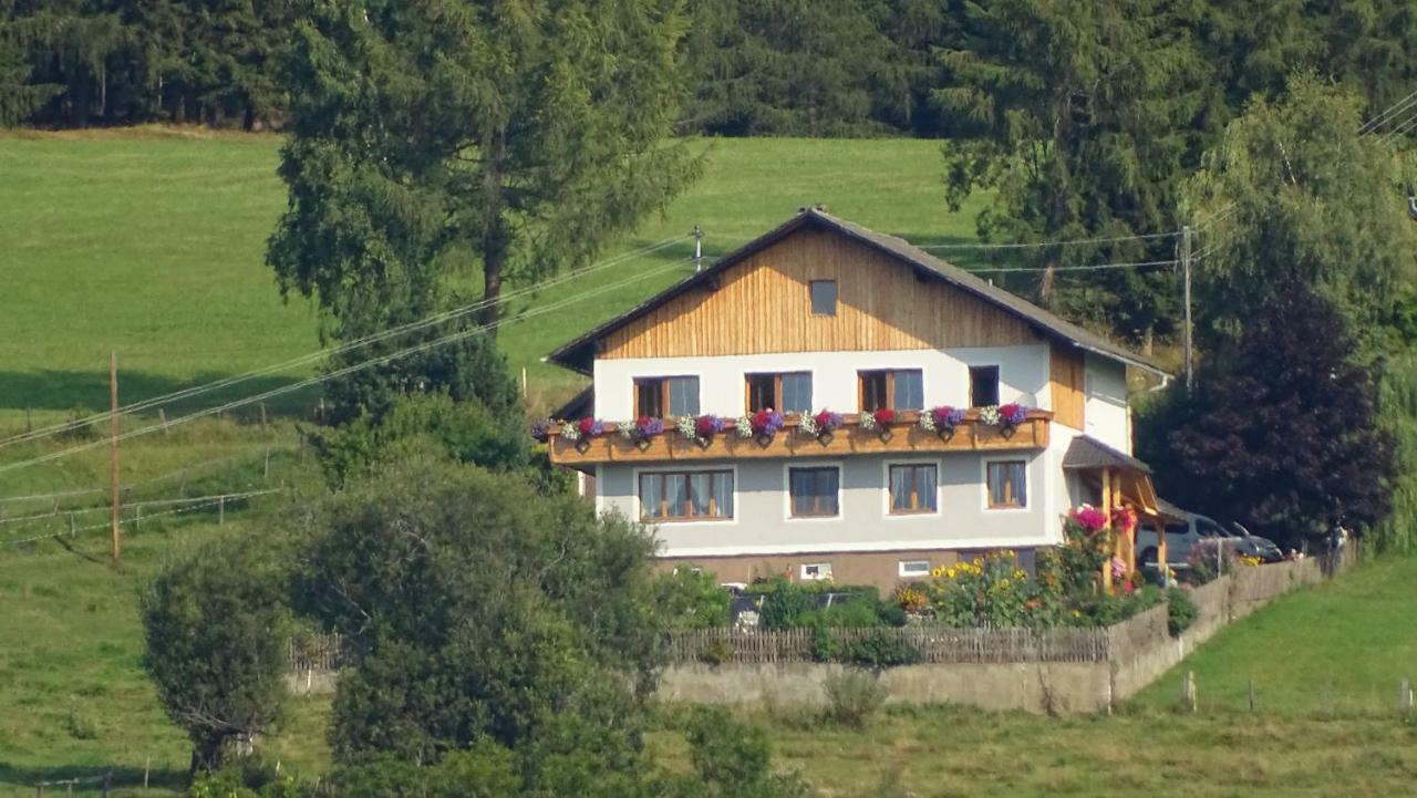 Ferienwohnung Greim Sankt Peter am Kammersberg المظهر الخارجي الصورة